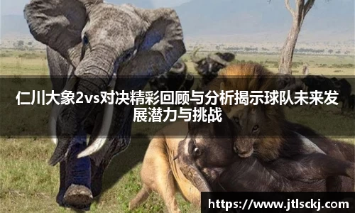 仁川大象2vs对决精彩回顾与分析揭示球队未来发展潜力与挑战